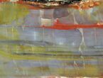 Polished Arizona Petrified Wood Section - Vibrantly Colored #94549-2